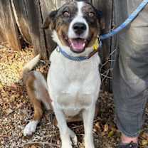 Thumbnail photo of Pearl #4