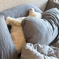 Thumbnail photo of Bennie #4