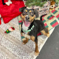 Thumbnail photo of Tracy #1