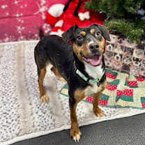 Thumbnail photo of Tracy #2