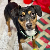 Thumbnail photo of Tracy #3