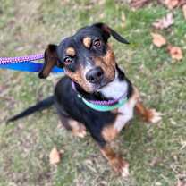 Thumbnail photo of Tracy #4