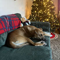 Thumbnail photo of Odin #3