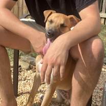 Thumbnail photo of Odin #4