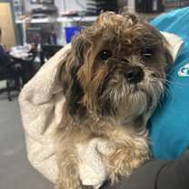 Thumbnail photo of Delight #1