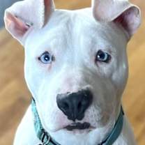 Thumbnail photo of PARKOUR #1