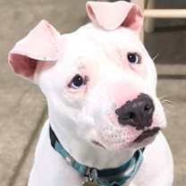 Thumbnail photo of PARKOUR #3