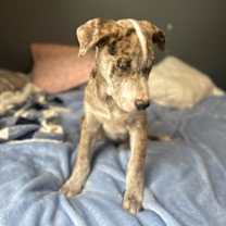 Thumbnail photo of Hayden #3