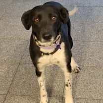 Thumbnail photo of Kyli #1