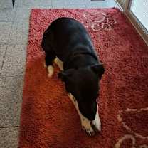 Thumbnail photo of Kyli #2