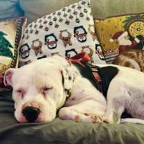 Thumbnail photo of Disney #4