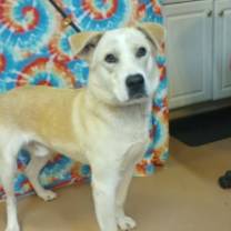 Thumbnail photo of Caine #1