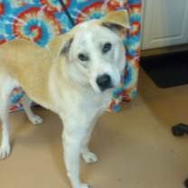 Thumbnail photo of Caine #2