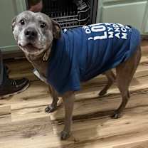 Thumbnail photo of Harold  #1