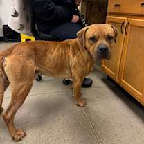 Thumbnail photo of Pumpkin roll #2