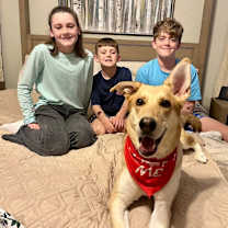 Thumbnail photo of Poppy #1