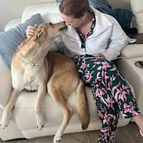 Thumbnail photo of Poppy #2