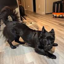 Thumbnail photo of Brenna #2