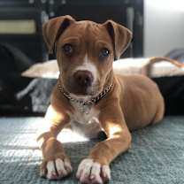 Thumbnail photo of Haika #4