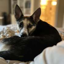 Thumbnail photo of Charlie #2