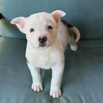 Thumbnail photo of Blanca #1