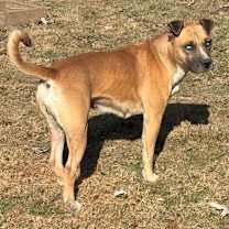 Thumbnail photo of Red #3