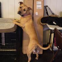 Thumbnail photo of Tessa #4