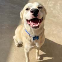 Thumbnail photo of Liam #2