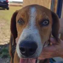 Thumbnail photo of Thomas #2