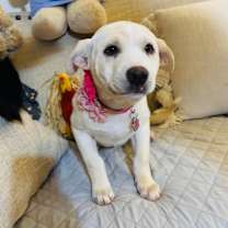 Thumbnail photo of Autumn  #3