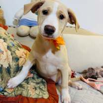 Thumbnail photo of Stella #4