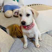 Thumbnail photo of Autumn  #4