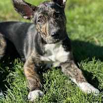 Thumbnail photo of Betty #1