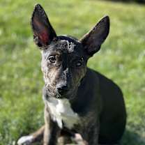 Thumbnail photo of Betty #2