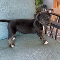 Thumbnail photo of Betty #4