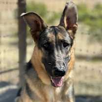 Thumbnail photo of Max #1