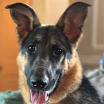 Thumbnail photo of Max #4