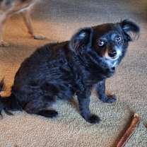 Thumbnail photo of Lupe #1