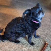 Thumbnail photo of Lupe #2