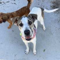 Thumbnail photo of Lady #3