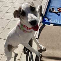 Thumbnail photo of Lady #4