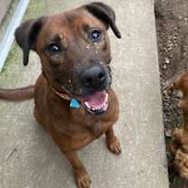 Thumbnail photo of Red #1