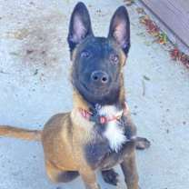 Thumbnail photo of Cairo #1