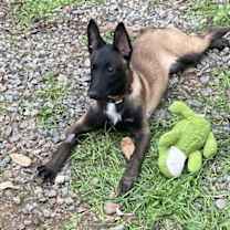 Thumbnail photo of Cairo #2