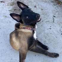 Thumbnail photo of Cairo #3