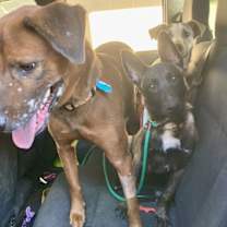 Thumbnail photo of Cairo #4