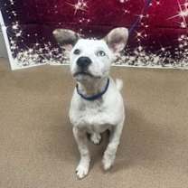 Thumbnail photo of White Mocha* #2