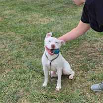 Thumbnail photo of Tank #2