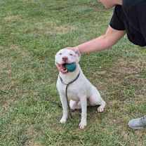 Thumbnail photo of Tank #3