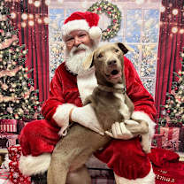 Thumbnail photo of Chrissy #1